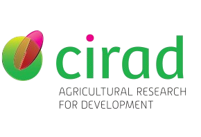 Cirad